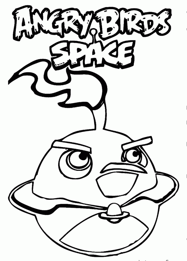 Plansa de colorat cu Angry Birds 12 24